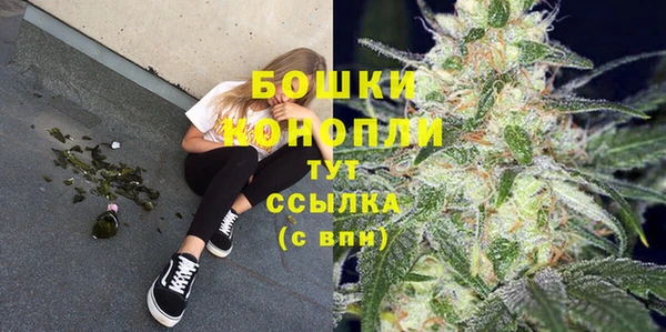 2c-b Белокуриха